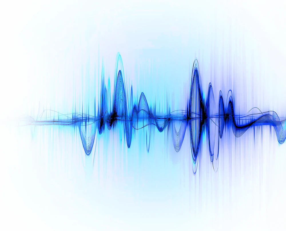 FCC Representative Services