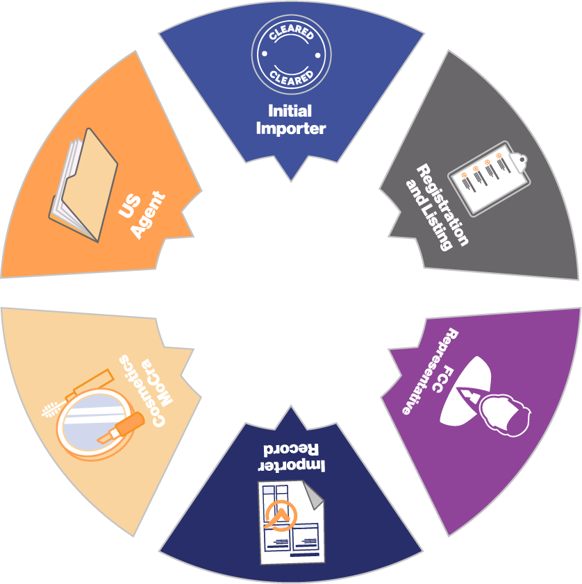 Techlink FDA Services offered